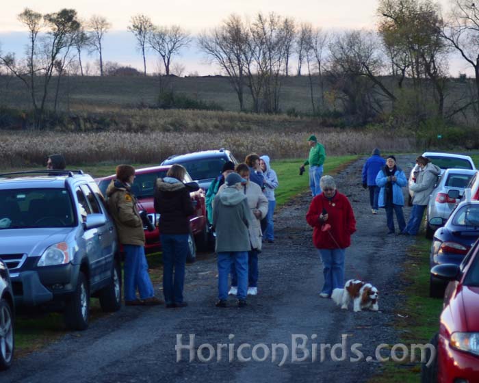 Crane watchers stand along the road in LaSalle County, Illinois waiting for flyover, 26 October 2012.  Photo by Pam Rotella