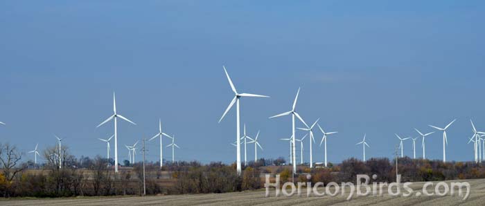 Mendota Hills Wind Farm near Paw Paw, Illinois, mentioned by Richard van Heuvelen in his Pilot's notes.  Photo by Pam Rotella
