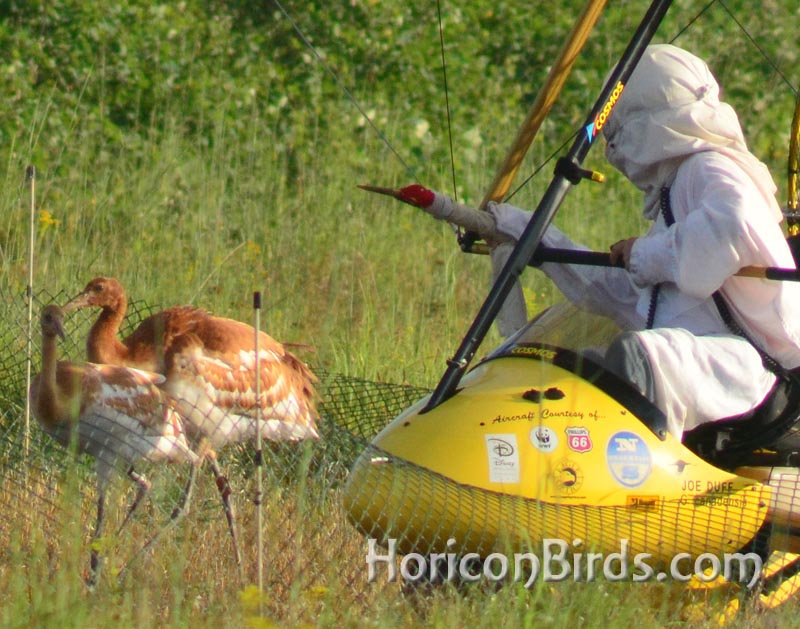 Pilot Joe Duff greets crane chicks, photo by Pam Rotella