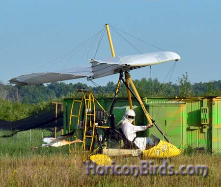 Joe Duff training crane chicks at White River Marsh, Summer of 2012.  Photograph by Pam Rotella.