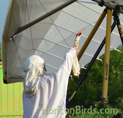 Pilot Joe Duff signals a crane in flight to return to the ground, photo by Pam Rotella