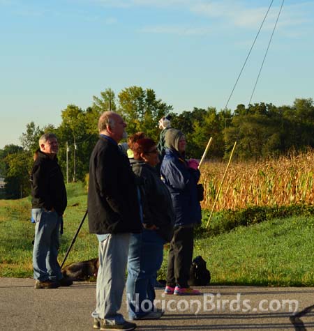 An early-morning crowd turned out to see the cranes depart, 30 September 2013, photo by Pam Rotella