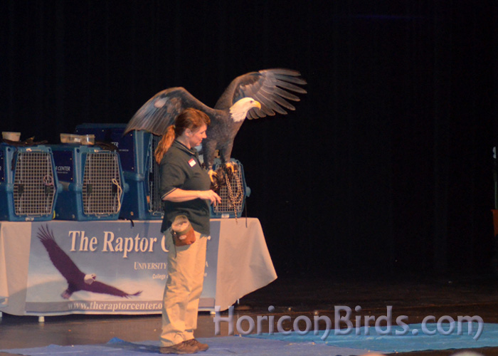 Raptor show, 18 January 2014.  Photo by Pam Rotella