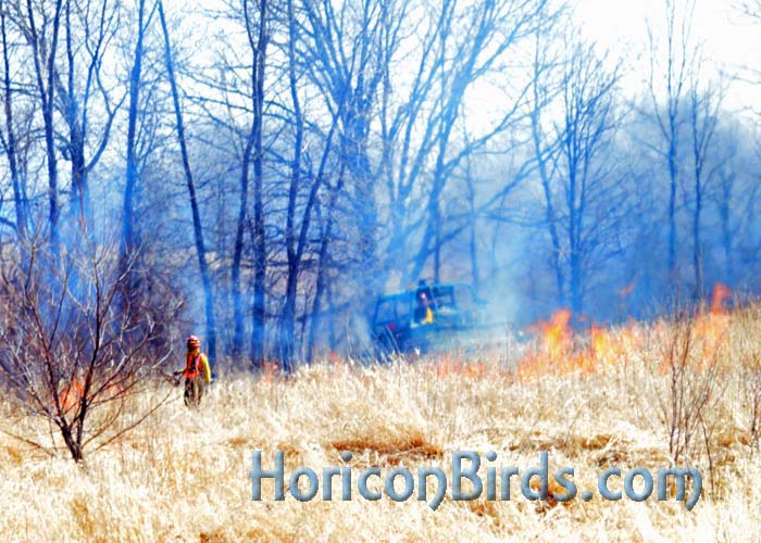 Prescribed burn at Horicon, visible from Highway 49.  Photo by Pam Rotella